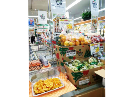らでぃっしゅぼーやは７月から期間限定で、食品スーパーに自社の野菜などを販売する専用の売り場に設置した