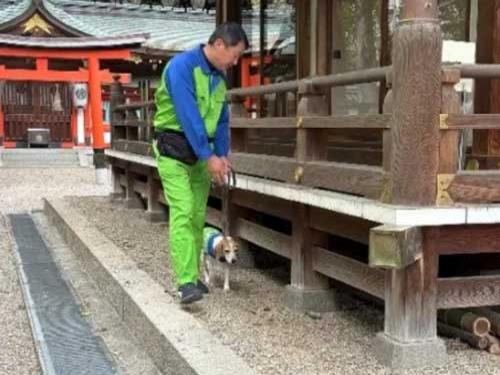 アサンテ/神社でシロアリ防除施工/歴史的木造建築を守る取り組み(2026年5月14日号)